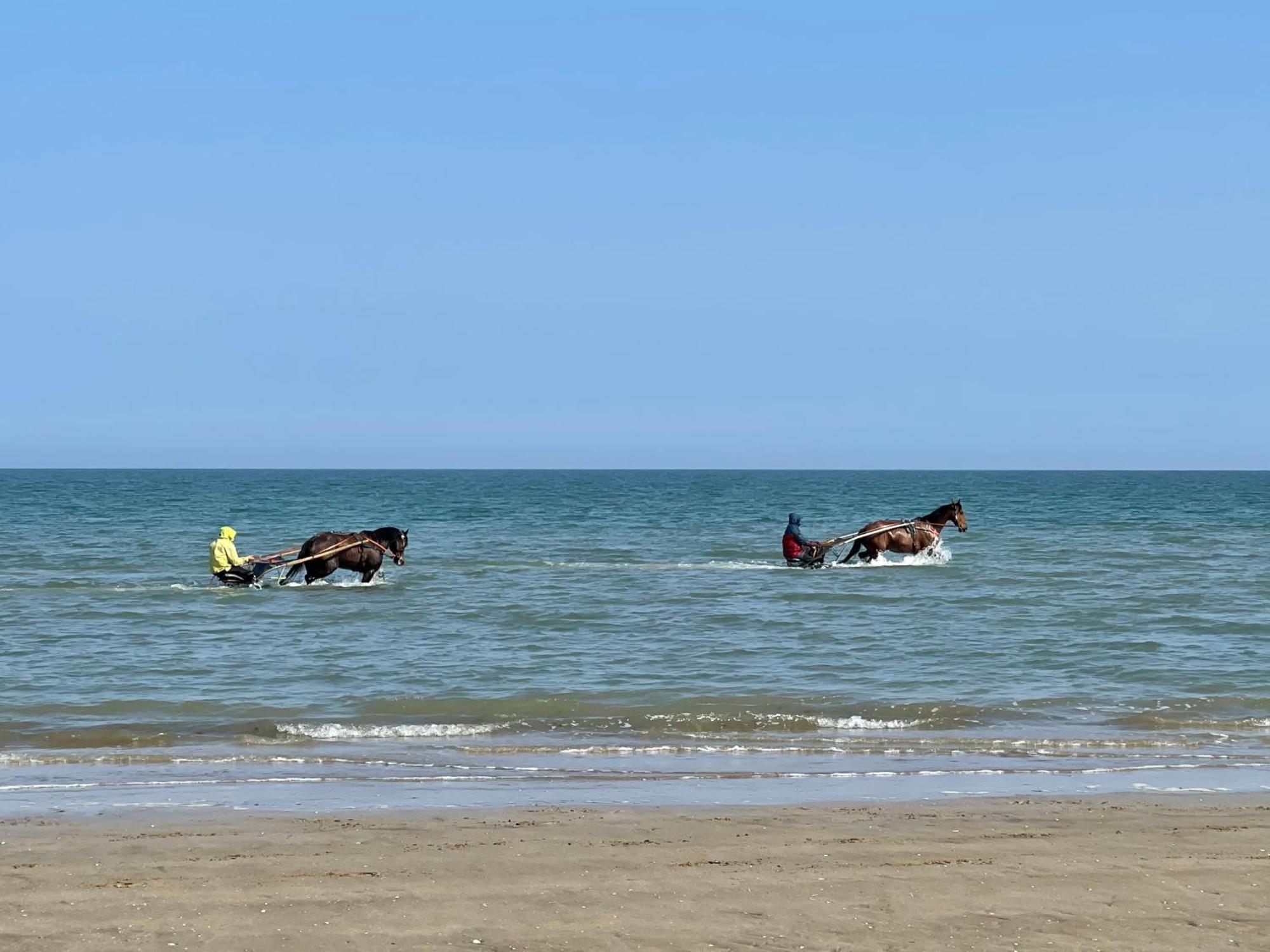 Pressoir De La Mare Superhote 12 Minutes De Cabourg Goustranville ภายนอก รูปภาพ